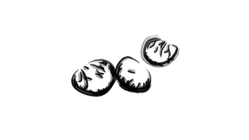 Tagua: l’avorio vegetale che incarna lo stile sostenibile