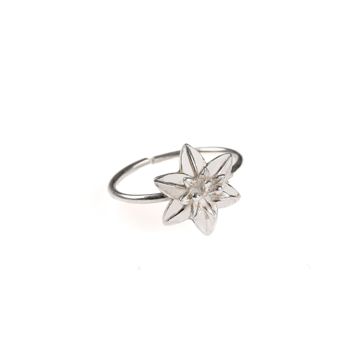 Anello Bucaneve ottone