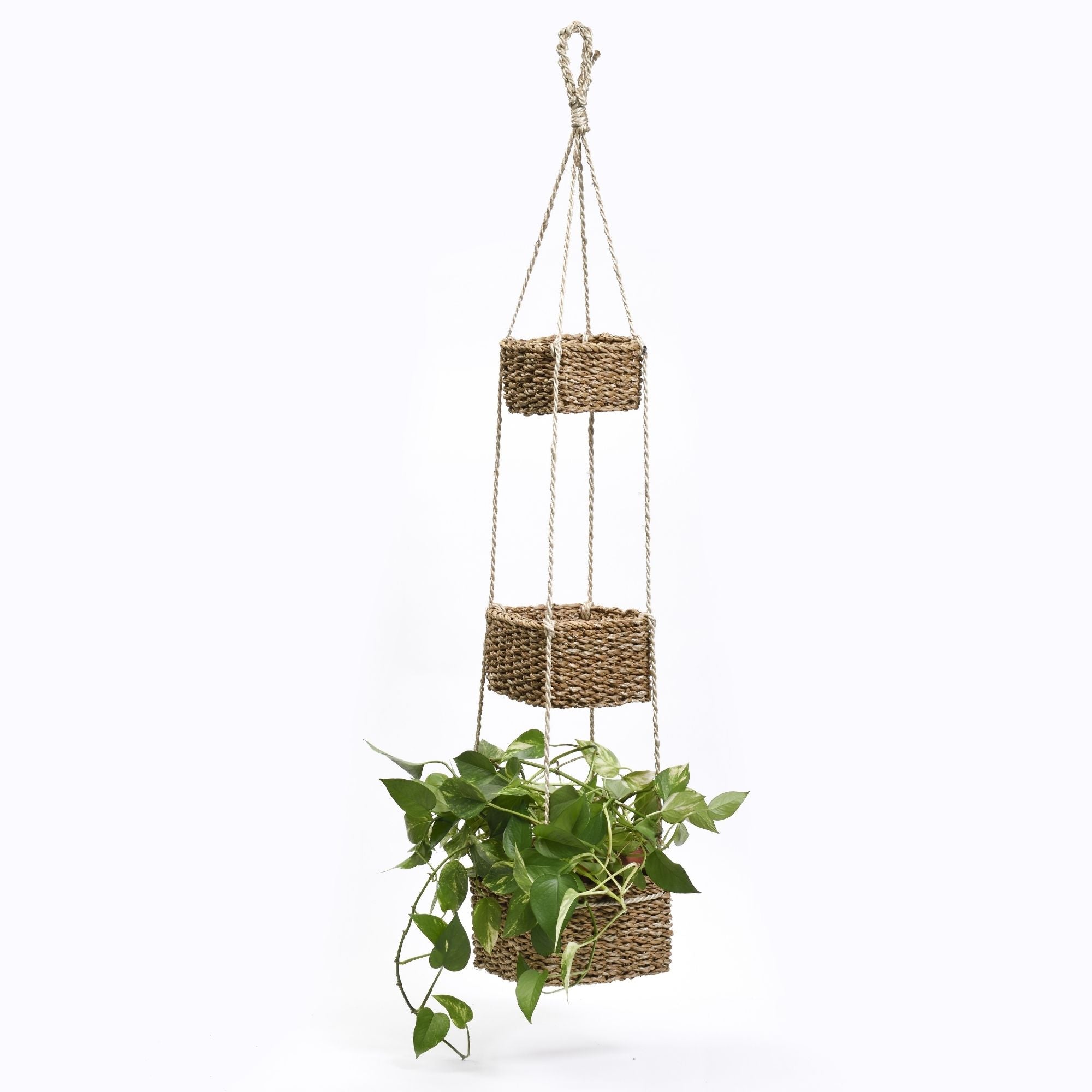 Portaoggetti sika Garden hogla