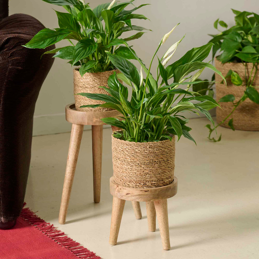 Portavaso treppiede Legs legno