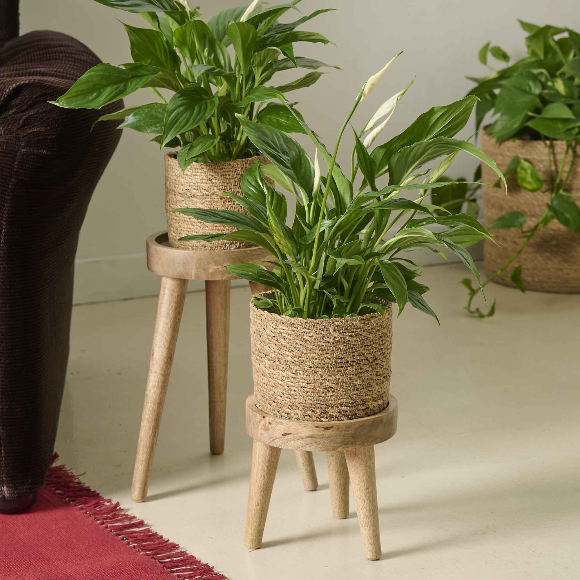 Portavaso treppiede Legs legno