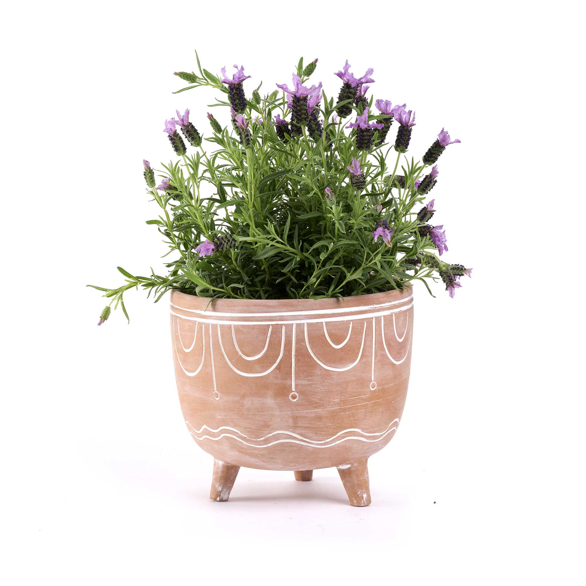 Vaso Pins terracotta